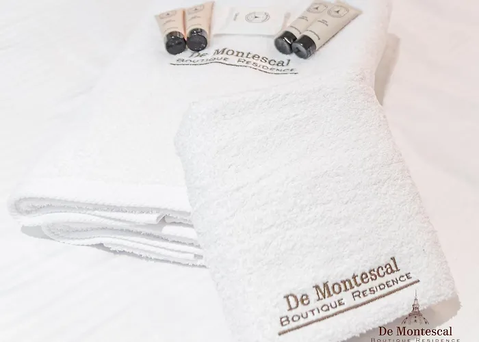 Montparnasse With Ac 11 To 14m2 In A Prime Location شقة